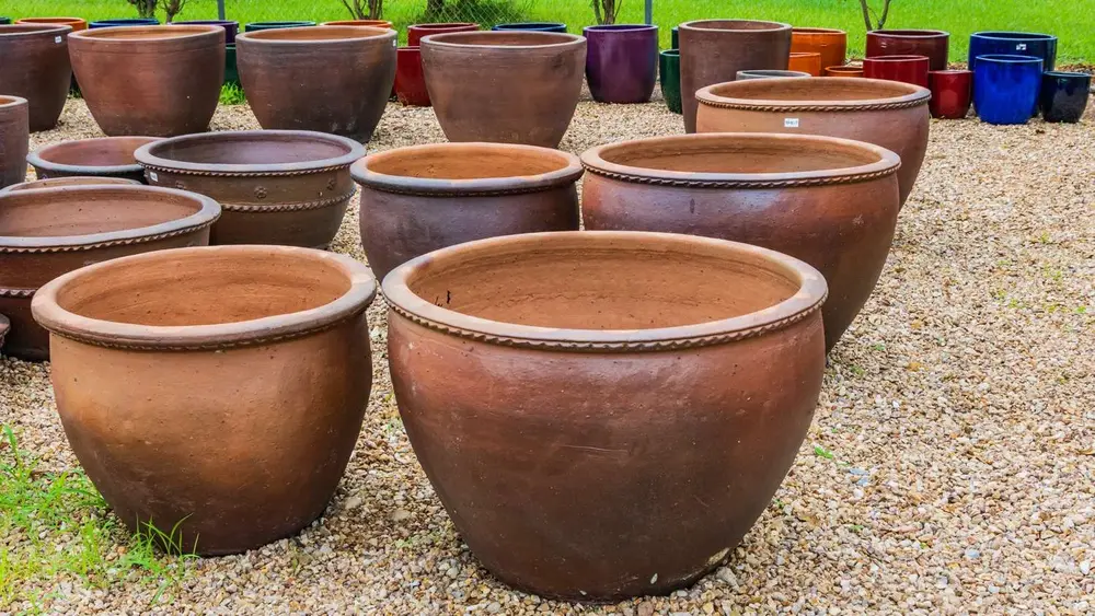 Garden pot display at Finlay's Stone in Holtze — gallery image 17
