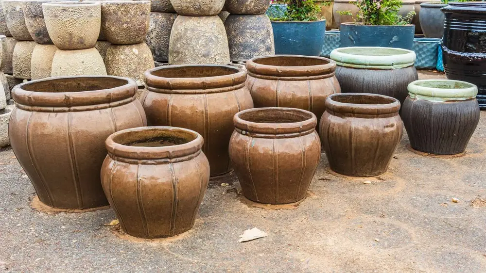 Garden pot display at Finlay's Stone in Holtze — gallery image 25