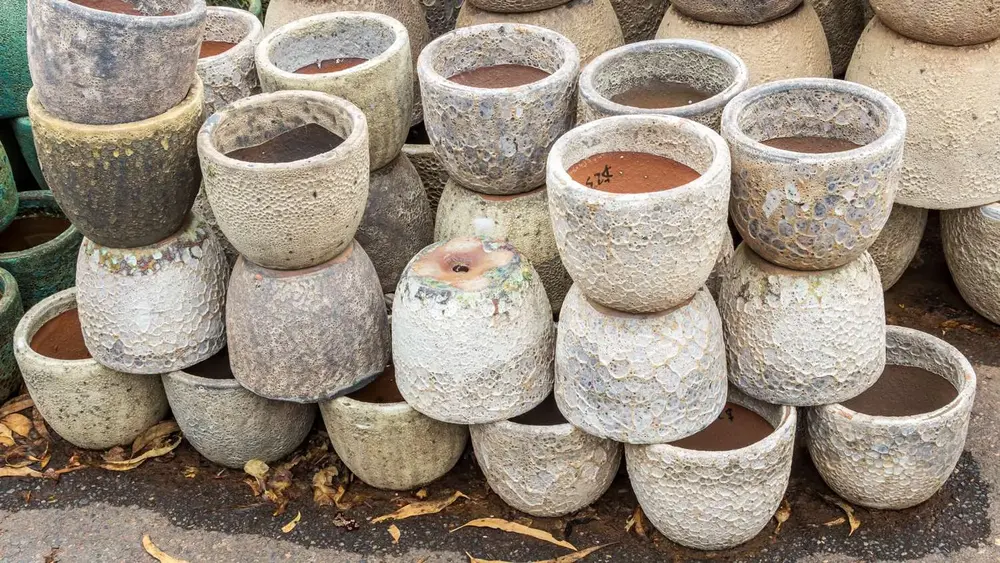 Garden pot display at Finlay's Stone in Holtze — gallery image 26