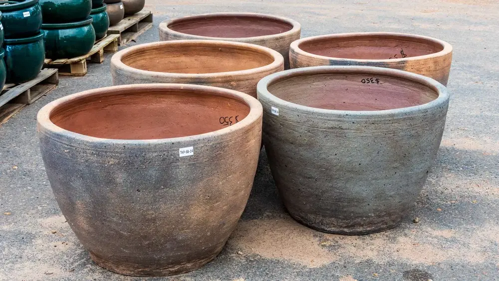 Garden pot display at Finlay's Stone in Holtze — gallery image 36