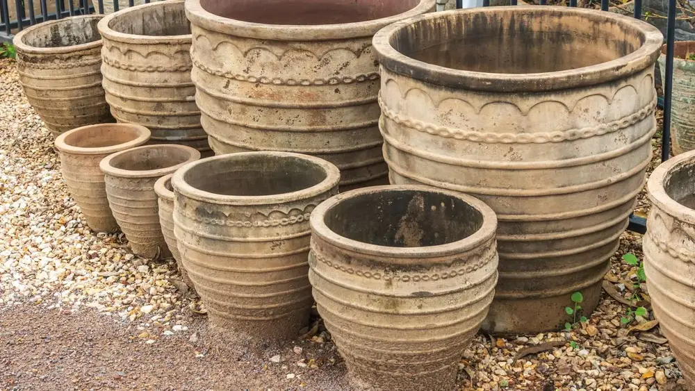 Garden pot display at Finlay's Stone in Holtze — gallery image 39
