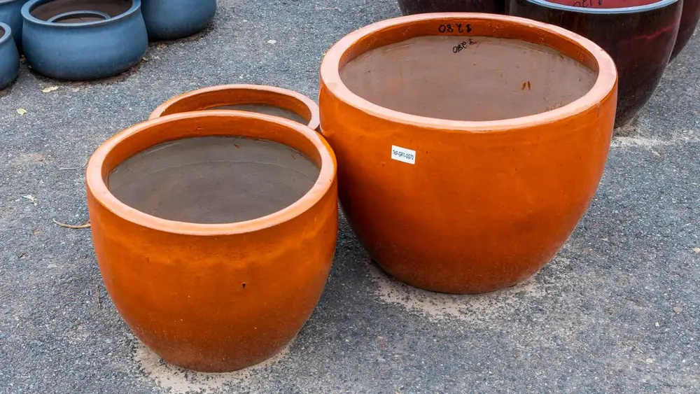 Garden pot display at Finlay's Stone in Holtze — gallery image 42
