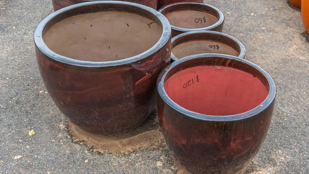 Garden pot display at Finlay's Stone in Holtze — gallery image 43