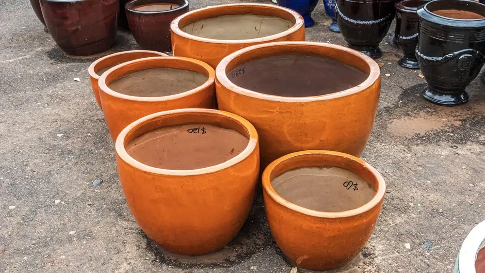 Garden pot display at Finlay's Stone in Holtze — gallery image 44