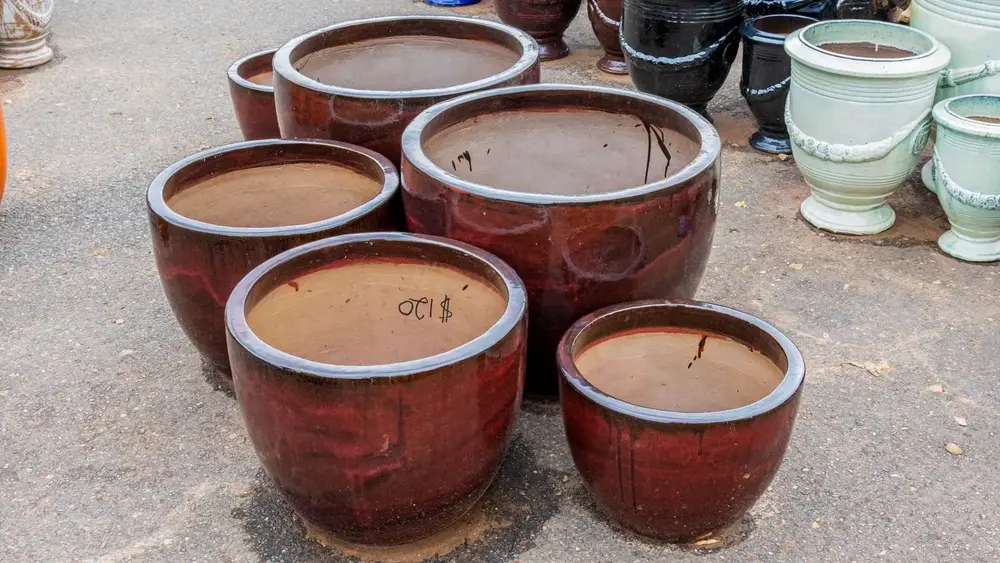 Garden pot display at Finlay's Stone in Holtze — gallery image 46