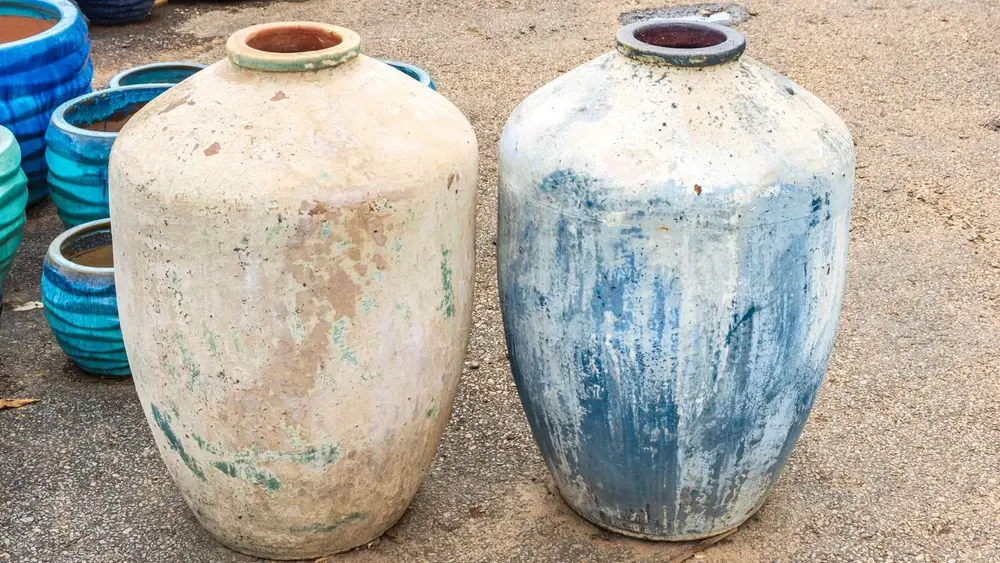 Garden pot display at Finlay's Stone in Holtze — gallery image 63