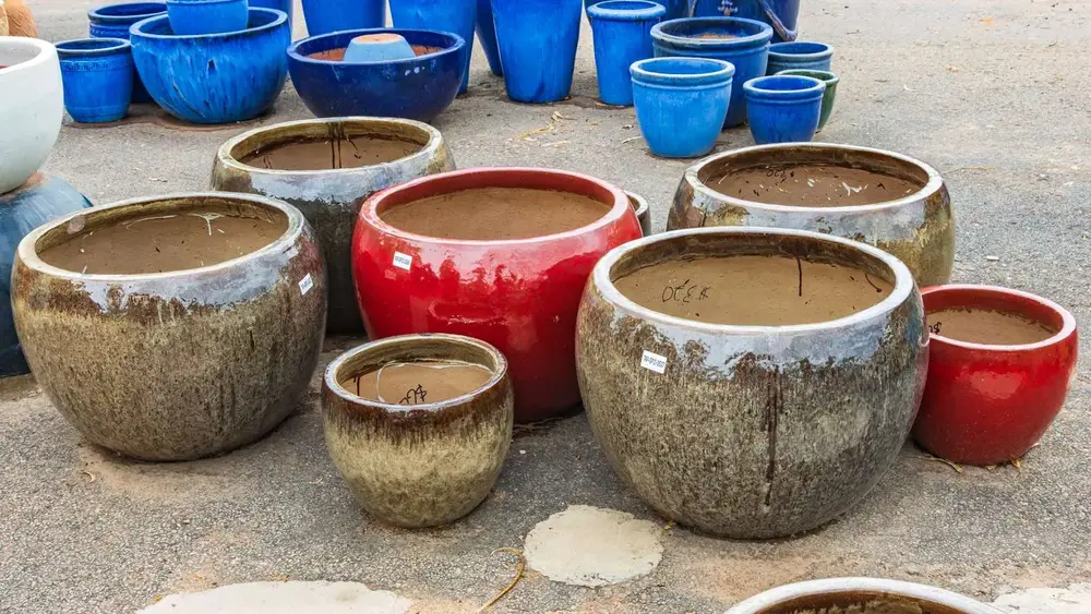 Garden pot display at Finlay's Stone in Holtze — gallery image 66