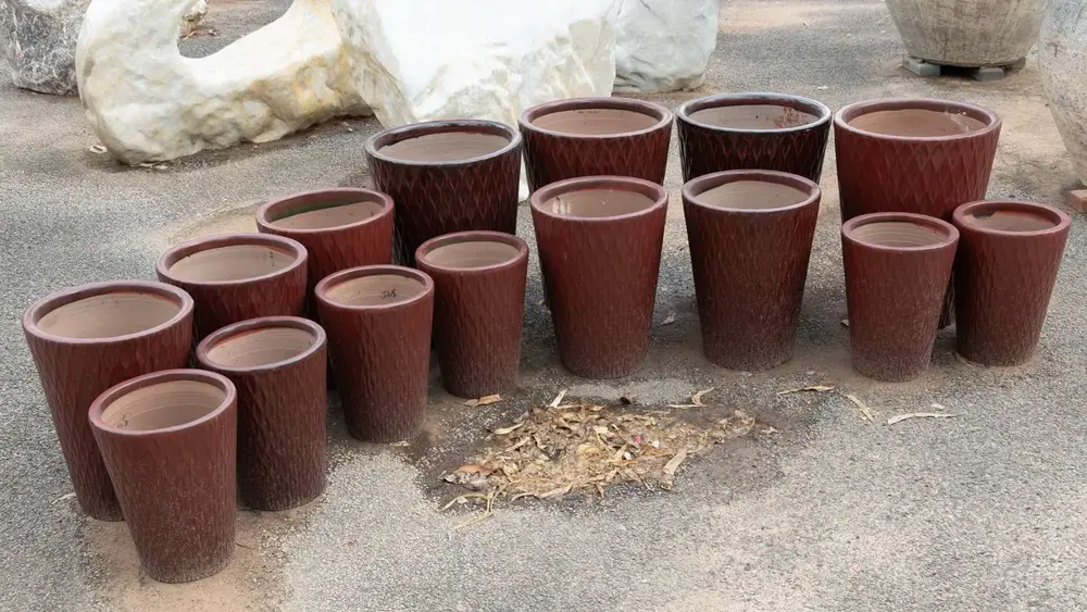 Garden pot display at Finlay's Stone in Holtze — gallery image 70