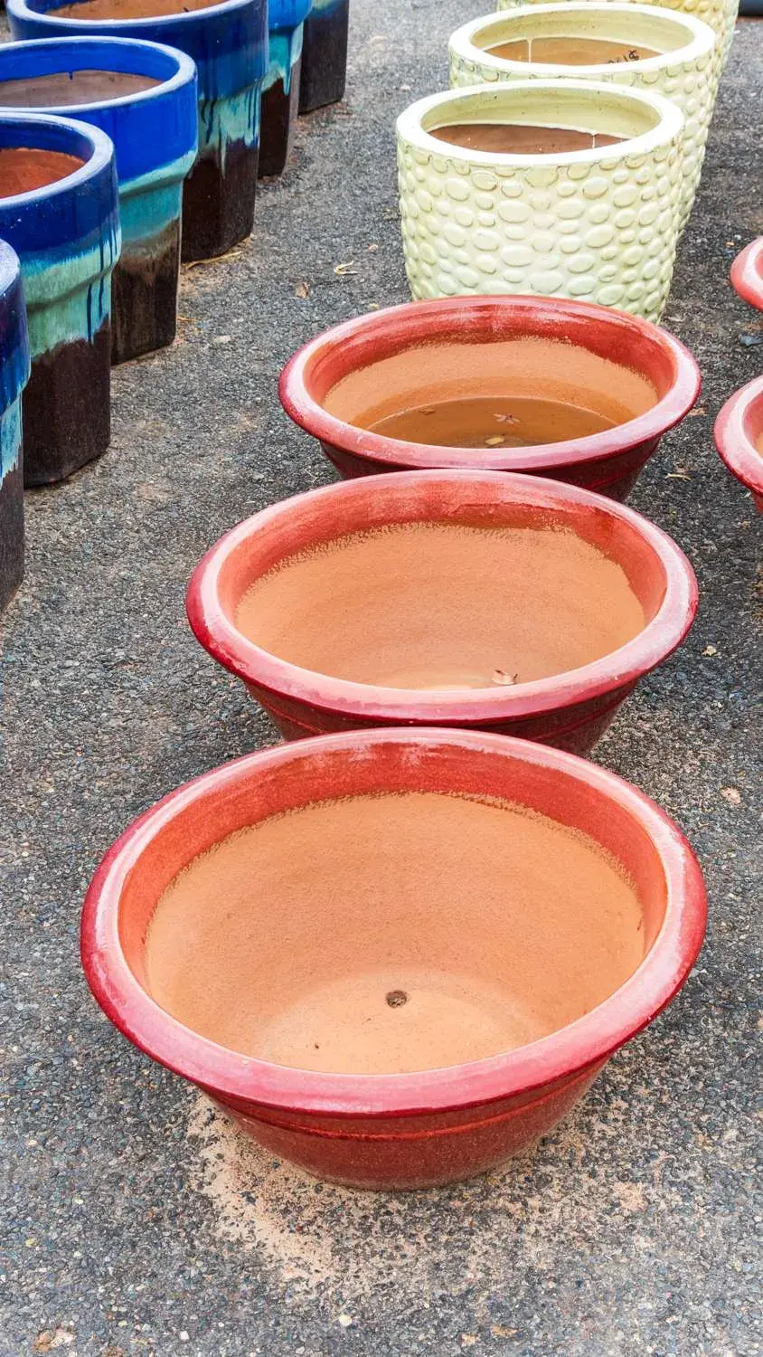 Garden pot display at Finlay's Stone in Holtze — gallery image 94