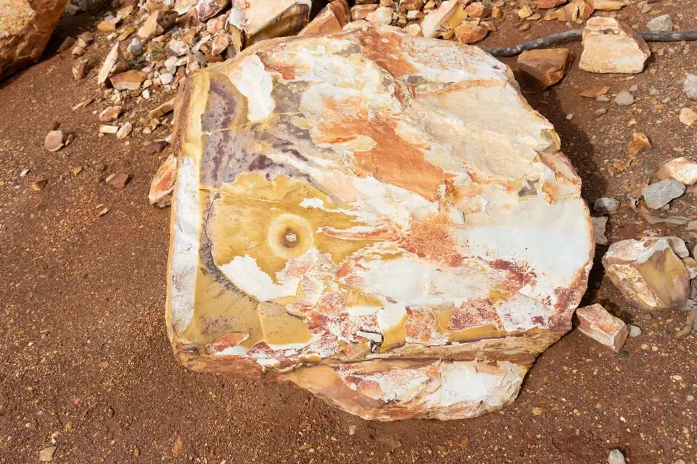 Landscape rock or boulder at Finlay's Stone in Holtze — gallery image 13