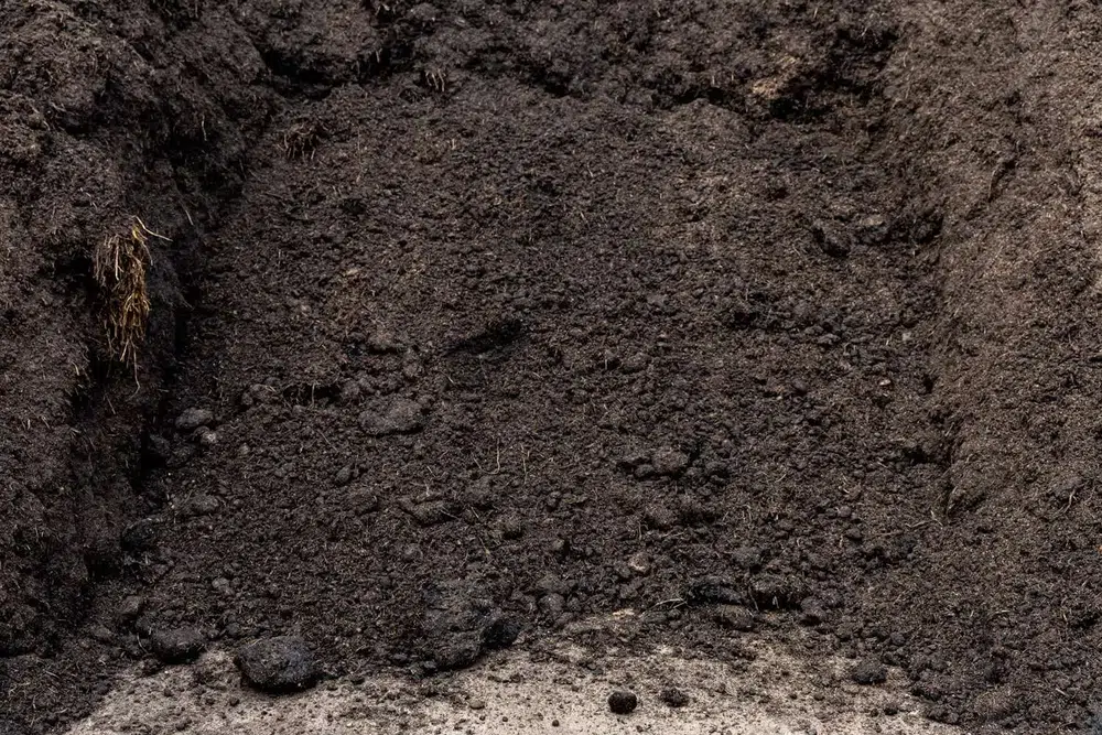 Sand, soil or mulch product at Finlay's Stone in Holtze — gallery image 13