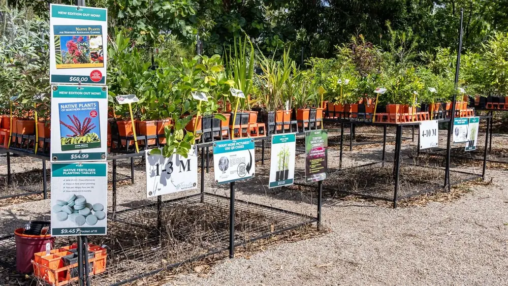 Territory native plants displayed for sale at Finlay's Stone