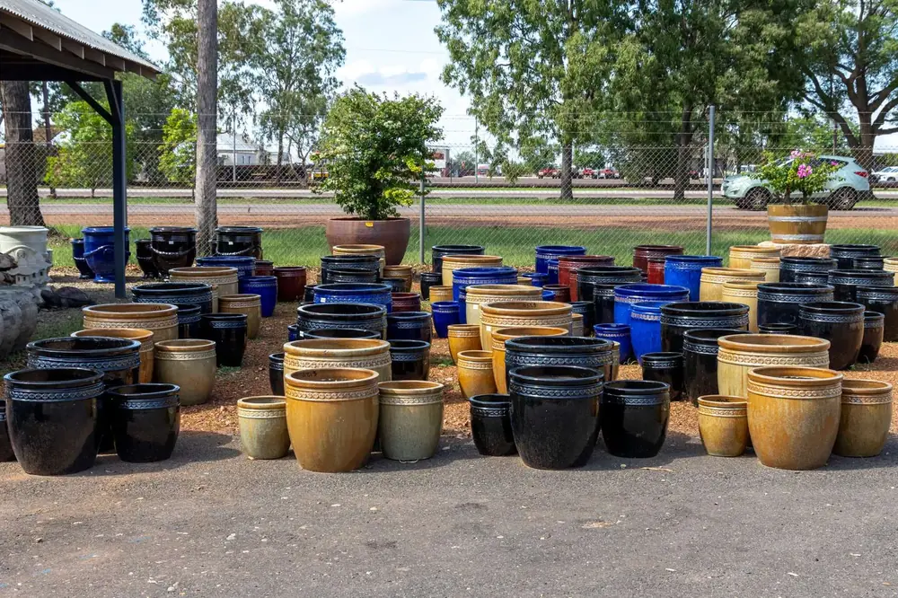 Rows of garden pots at Finlay's Stone