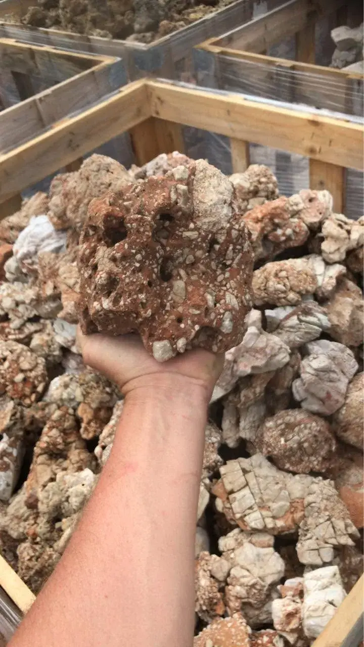 Hand holding a textured brown natural rock sample