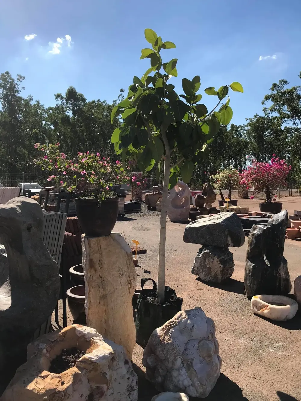 Potted greenery among stone and garden products