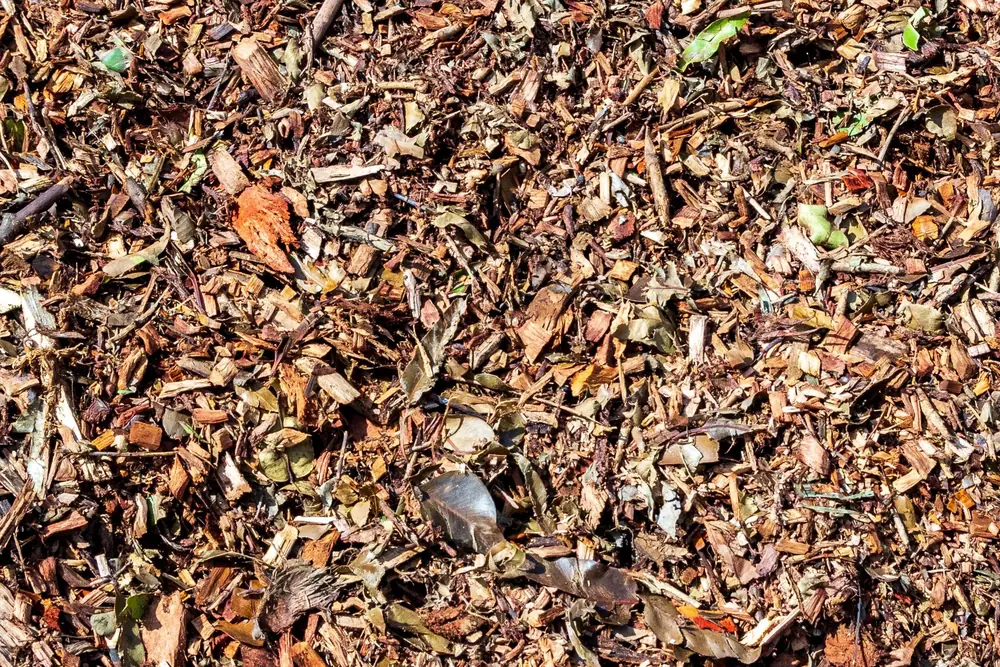 Close view of natural garden mulch
